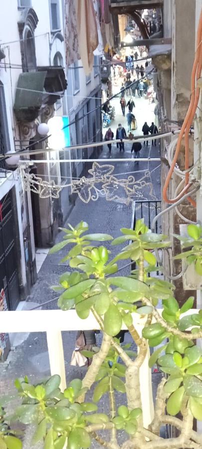 Casa San Biagio 1964 Spaccanapoli Διαμέρισμα Εξωτερικό φωτογραφία